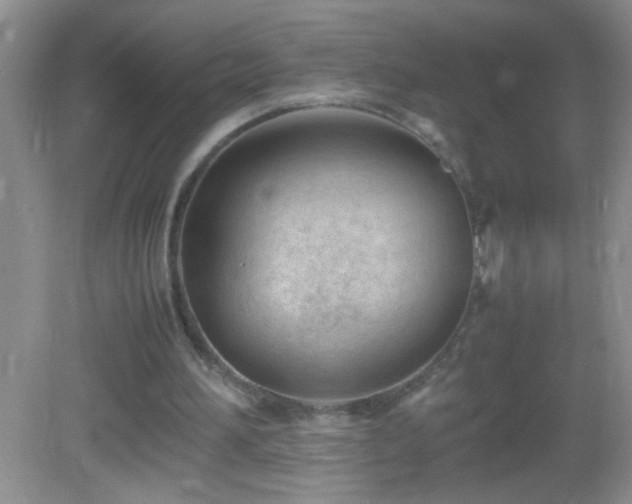 X0000083030196200702021135