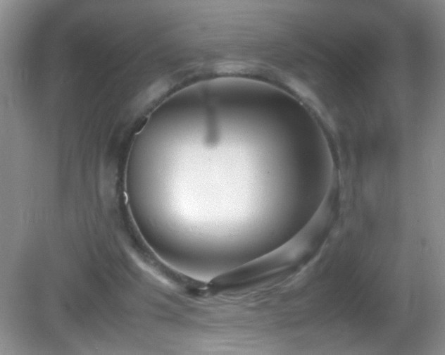 X0000083030201200702021134