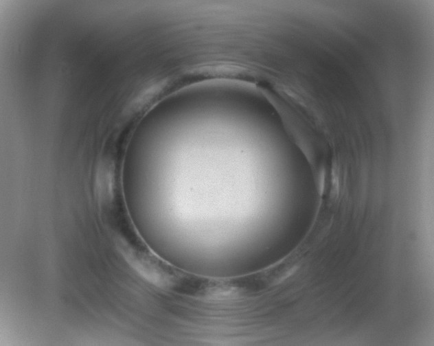 X0000083030206200702021134