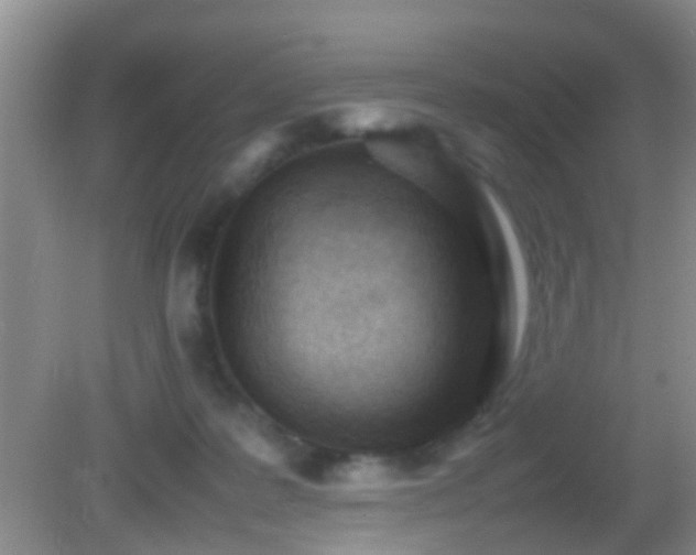 X0000083030219200702021134