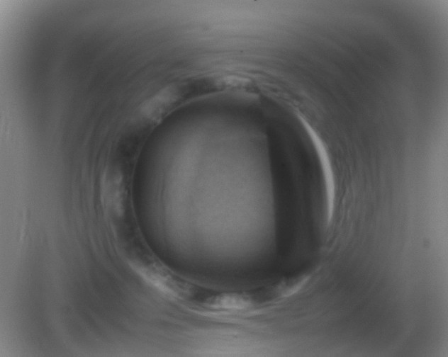 X0000083030223200702021134