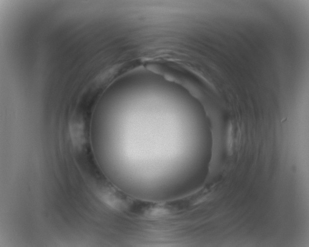X0000083030224200702021134