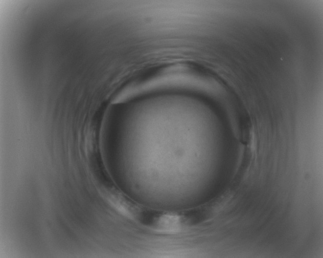 X0000083030227200702021134