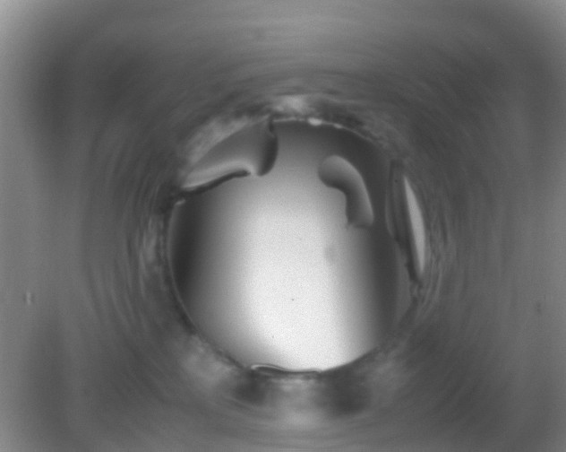 X0000083030233200702021134