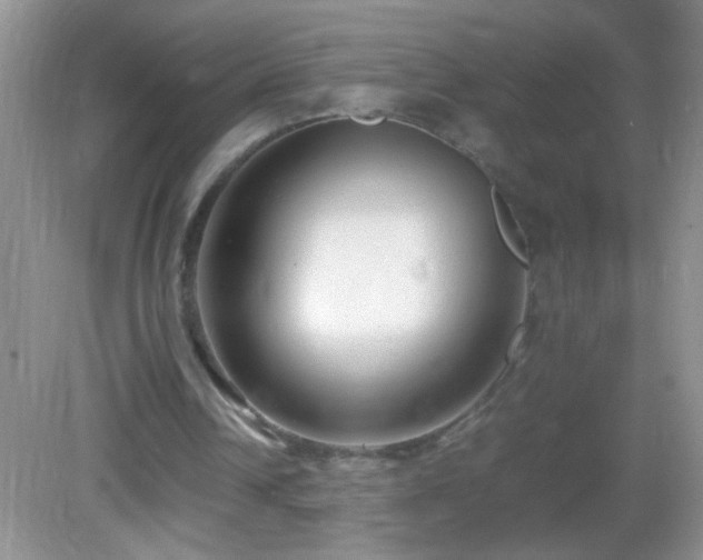 X0000083030242200702021133