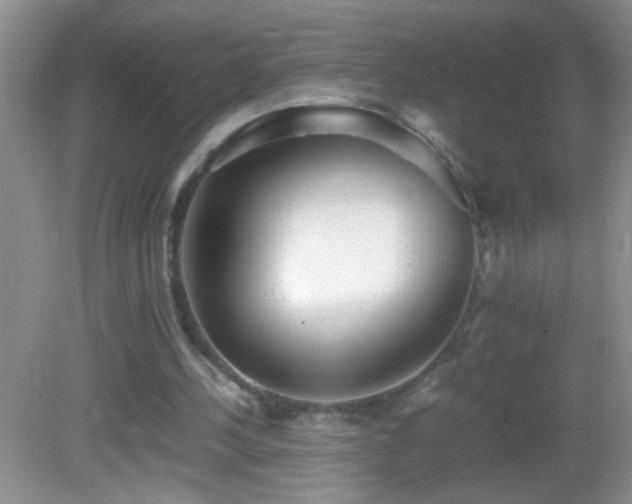 X0000083030244200702021133