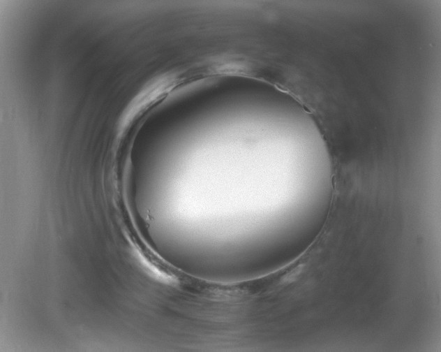 X0000083030245200702021133