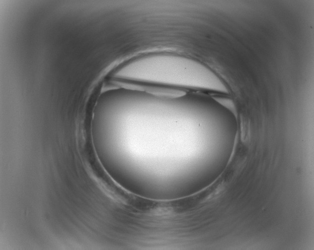 X0000083030252200702021133