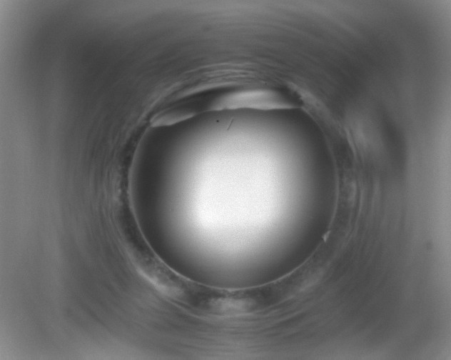 X0000083030255200702021133