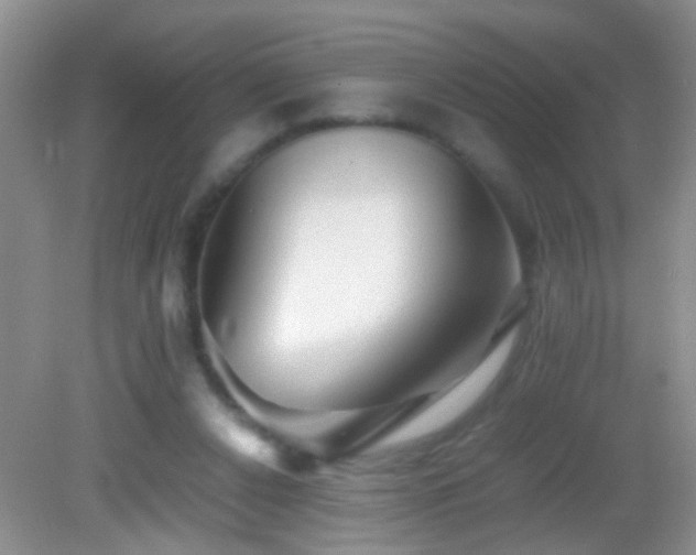 X0000083030256200702021133