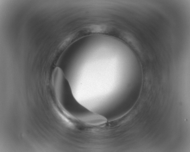 X0000083030257200702021133