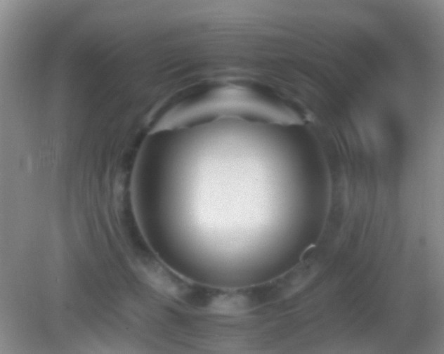 X0000083030271200702021133