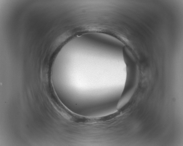X0000083030299200702021133