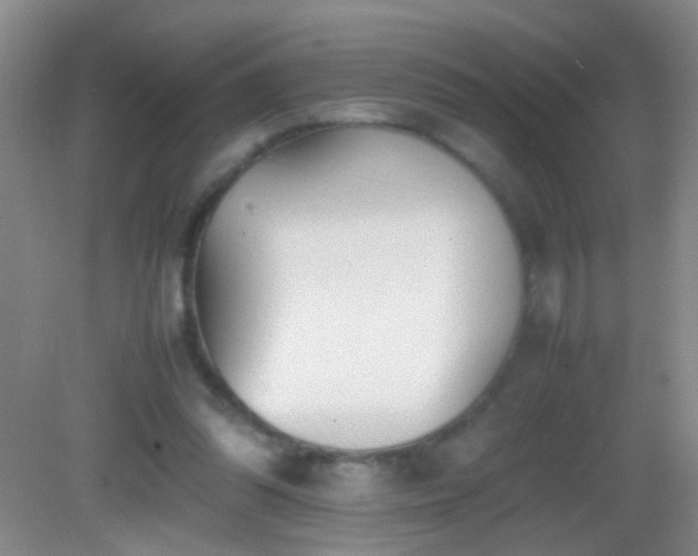 X0000083030302200702021133