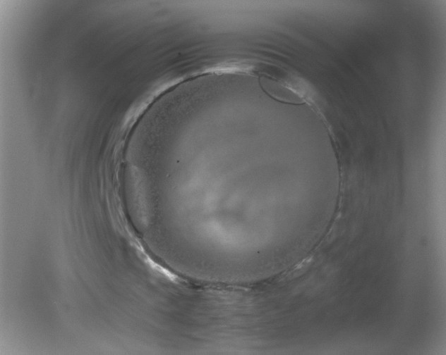 X0000083030337200702021131