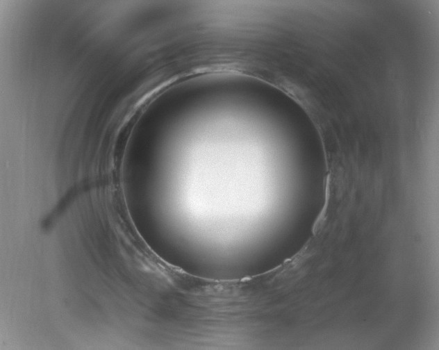 X0000083030338200702021131