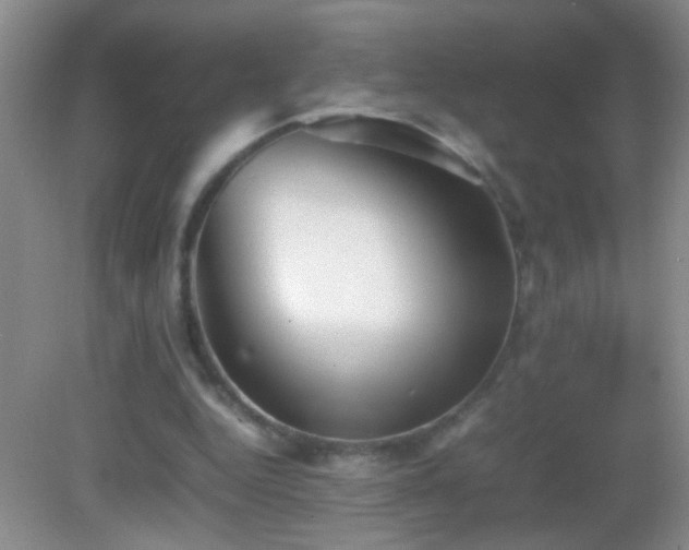 X0000083030344200702021131