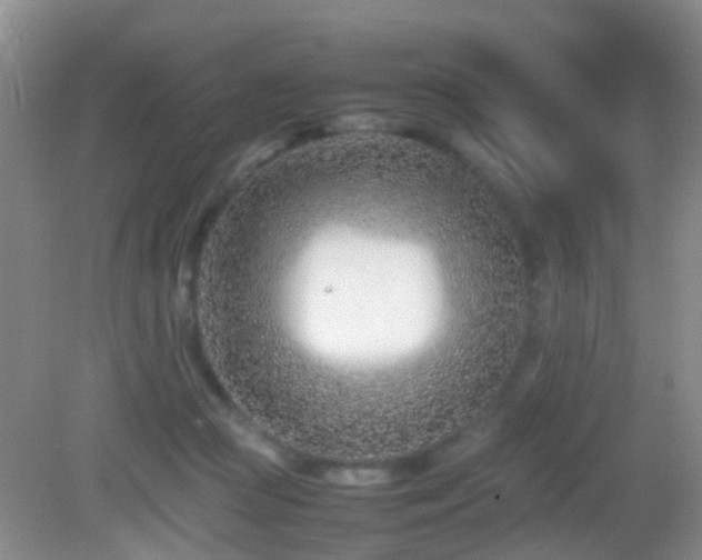 X0000083030361200702021132