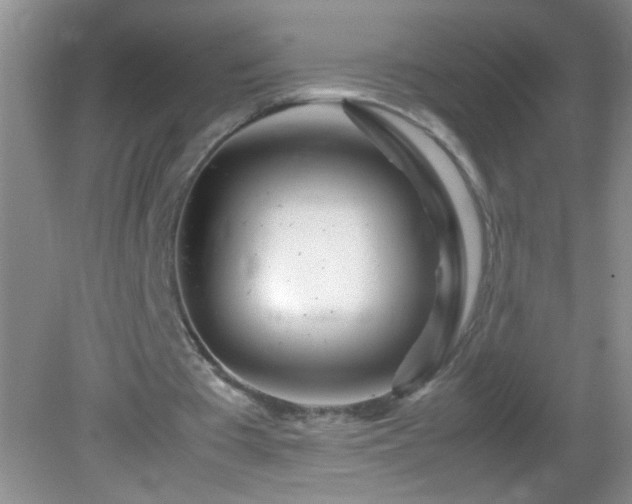 X0000083030385200702021131
