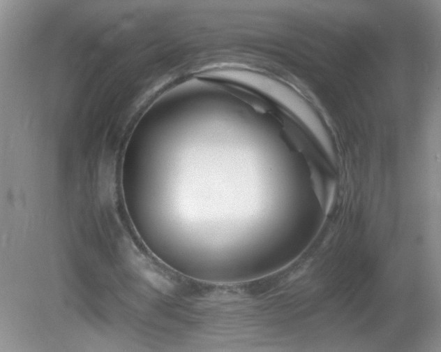 X0000083030386200702021131
