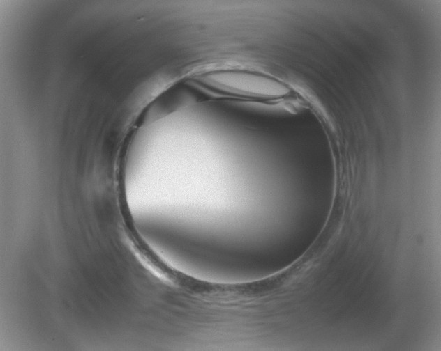 X0000083030389200702021131