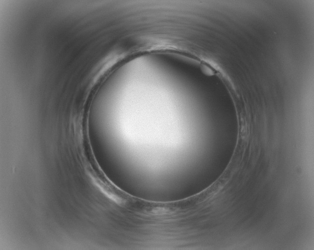 X0000083030390200702021131