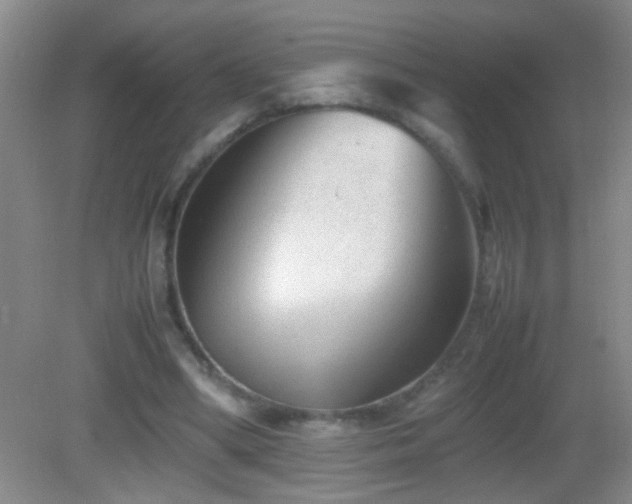 X0000083030394200702021131