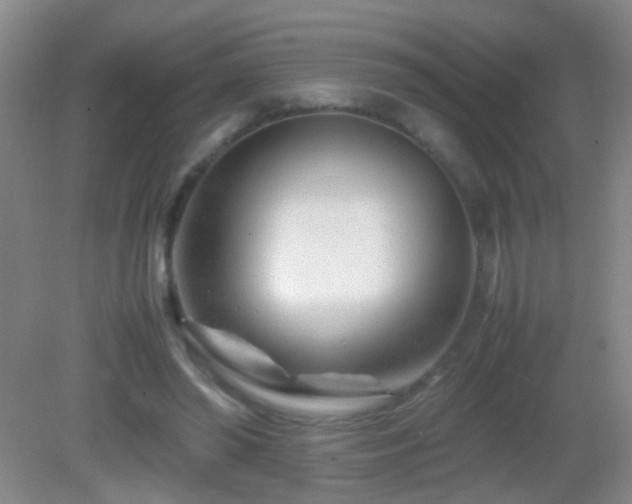 X0000083030398200702021131