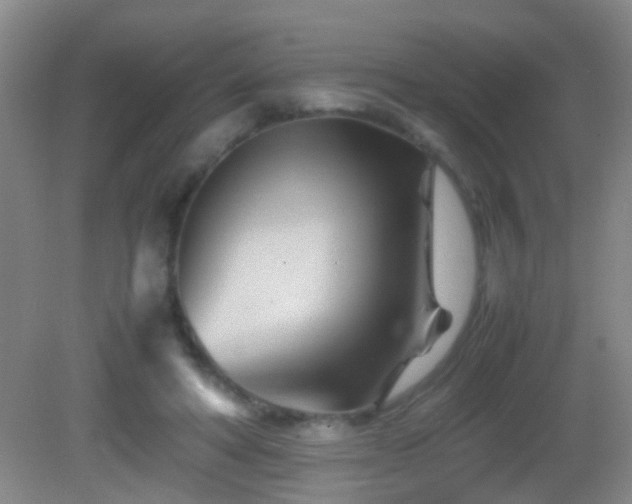 X0000083030402200702021131