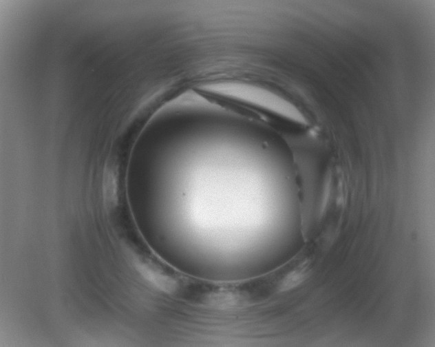 X0000083030404200702021131