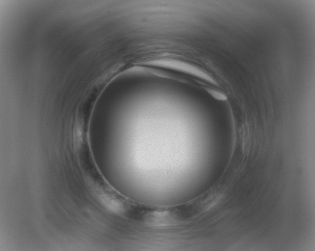 X0000083030406200702021131