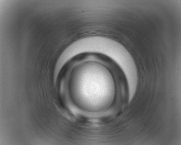 X0000083030412200702021131