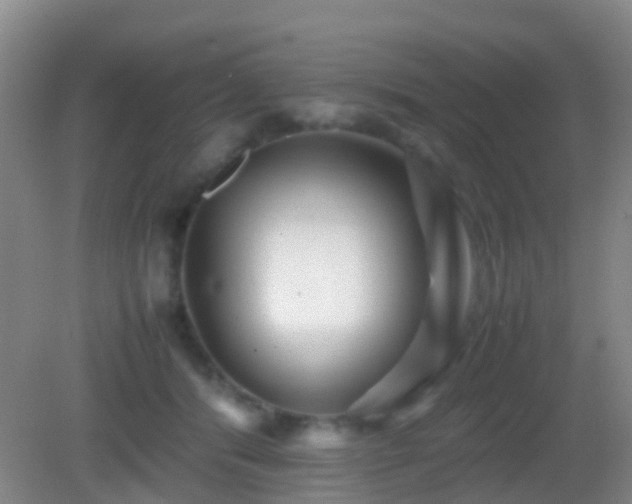 X0000083030416200702021131
