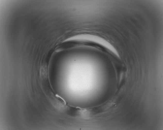X0000083030425200702021131