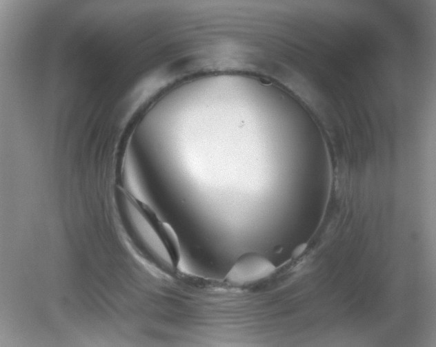 X0000083030438200702021130