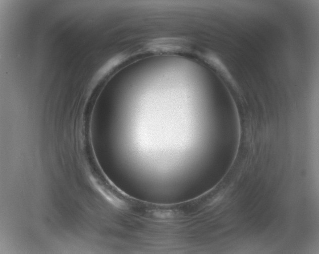 X0000083030439200702021130