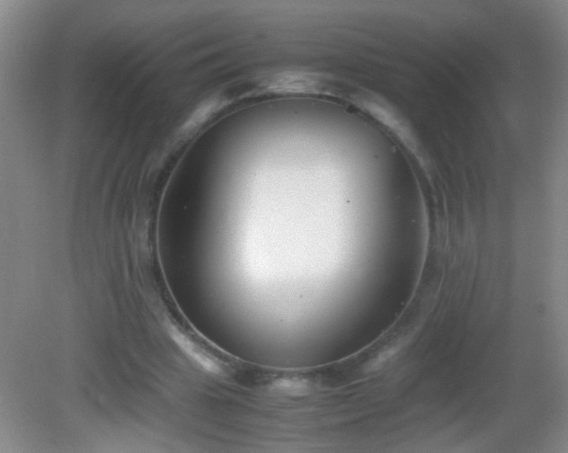 X0000083030441200702021130
