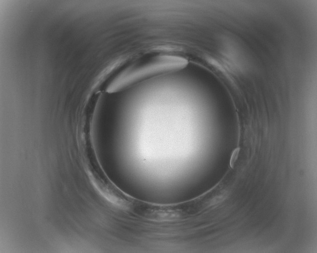 X0000083030443200702021130