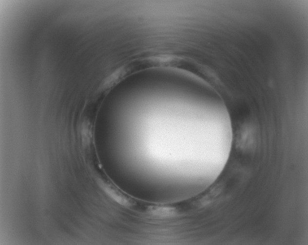 X0000083030476200702021130