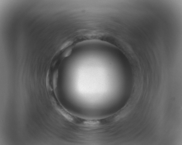 X0000083030480200702021131