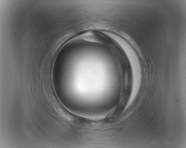 X0000083030481200702021130