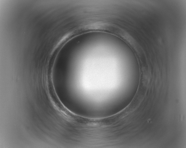 X0000083030482200702021130