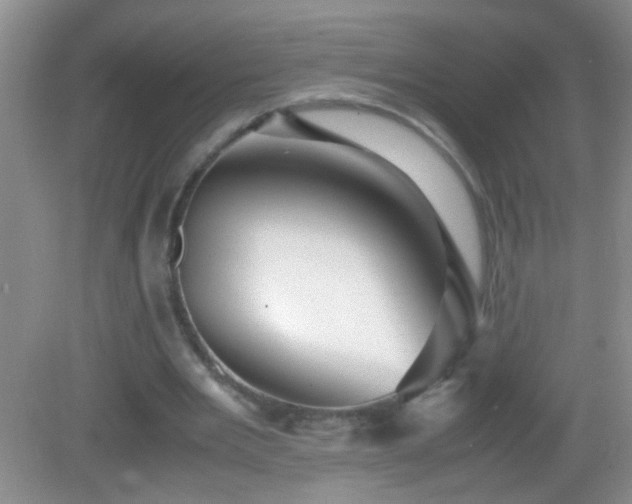 X0000083030485200702021130