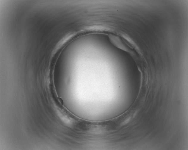 X0000083030486200702021130