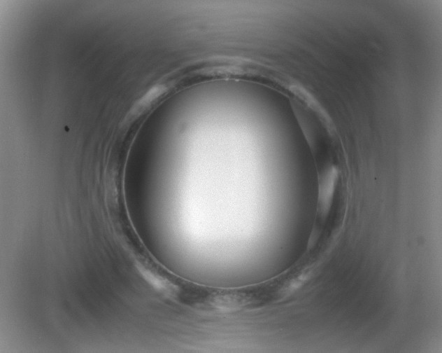 X0000083030489200702021130