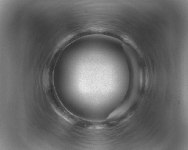 X0000083030492200702021130