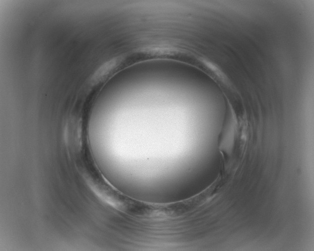 X0000083030494200702021130