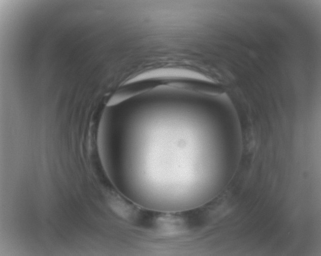 X0000083030515200702021129