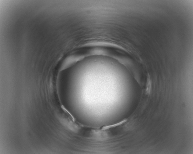 X0000083030520200702021129