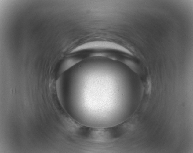 X0000083030521200702021129